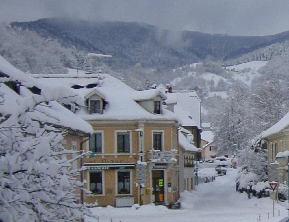 Au Cheval Blanc Hotel Saint-Amarin Kültér fotó