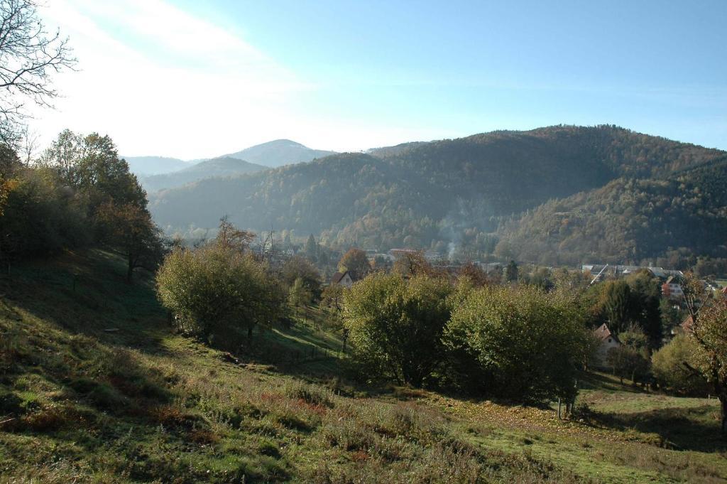 Au Cheval Blanc Hotel Saint-Amarin Kültér fotó