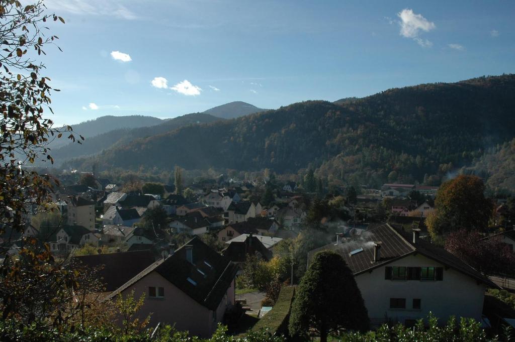 Au Cheval Blanc Hotel Saint-Amarin Kültér fotó